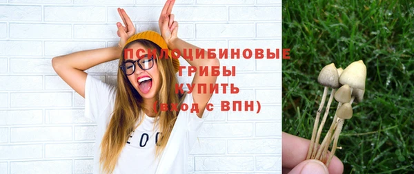 гидропоника Приозерск