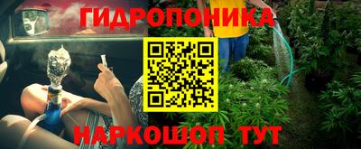 стаф Дубна