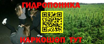 круглые Заводоуковск