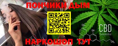 стаф Дубна